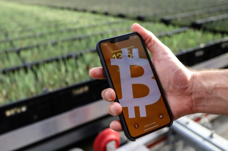 Tulipani e bitcoin sono stati entrambi associati a bolle finanziarie