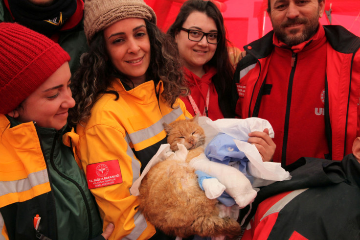 All&#39;indomani del micidiale terremoto di Gaziantep