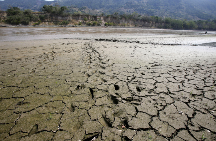 Un&#39;area è scoperta dall&#39;abbassamento del livello dell&#39;acqua nel fiume Magdalena, il fiume più lungo e più importante della Colombia, a causa della mancanza di pioggia, nella città di Honda