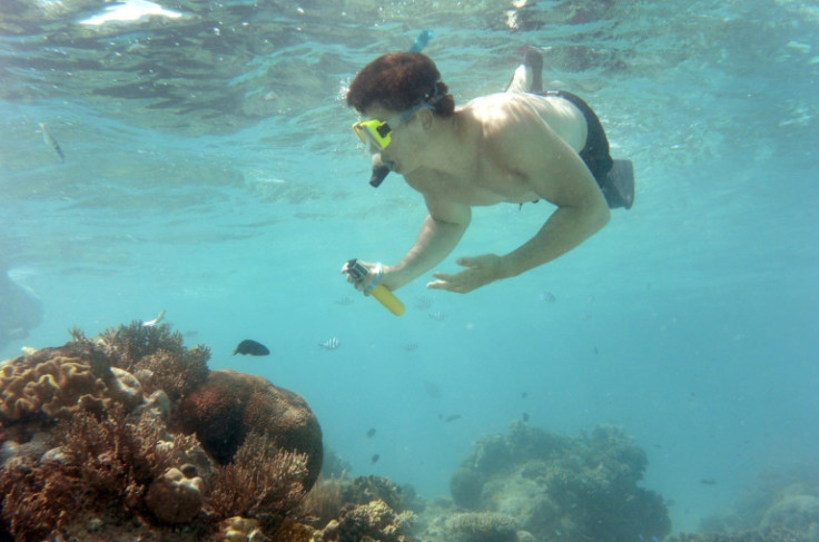 Inquinamento, pesca, turismo e cambiamenti climatici rappresentano una minaccia per la sopravvivenza della Grande Barriera Corallina, affermano gli esperti