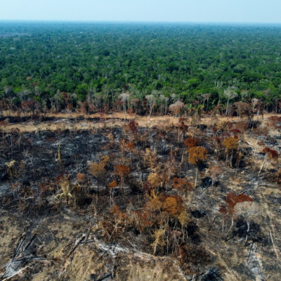 Quasi un campo da calcio di alberi tropicali maturi è stato abbattuto o bruciato ogni cinque secondi nel 2022