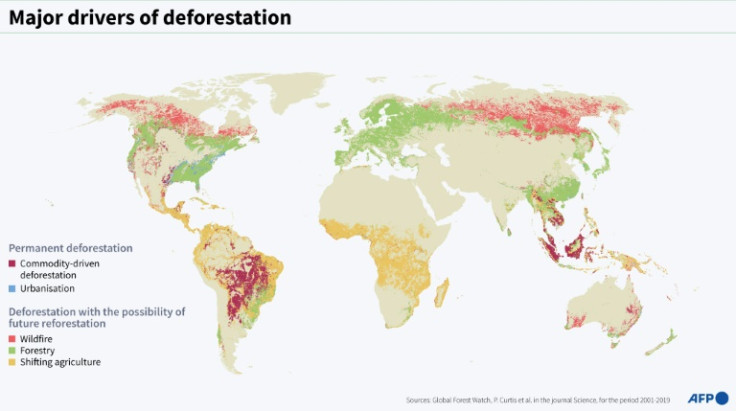Principali cause della deforestazione
