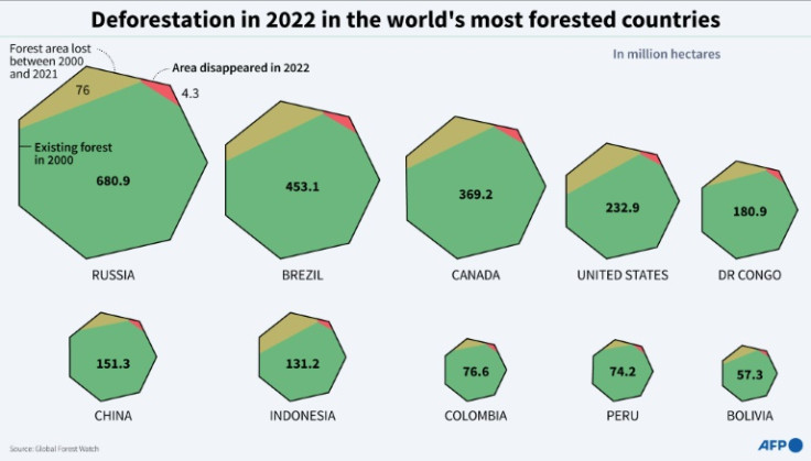 Grafico che mostra l&#39;area forestale e l&#39;area forestale persa dal 2000 al 2021 e nel 2022 nei dieci paesi con la maggior superficie forestale, secondo Global Forest Watch
