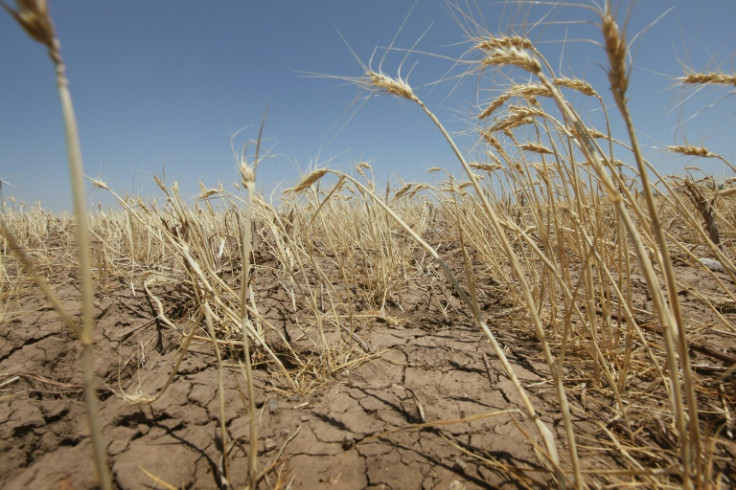 Il cambiamento climatico sta causando eventi meteorologici estremi più frequenti e intensi