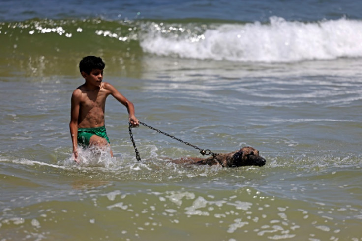 Un ragazzo palestinese e il suo cane camminano in mare tra le temperature in aumento a Gaza City