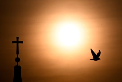 pigeon flies past one crosses Berlin's Cathedral