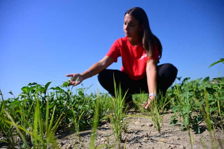 ITALY-DROUGHT-AGRICULTURE-HEATWAVE